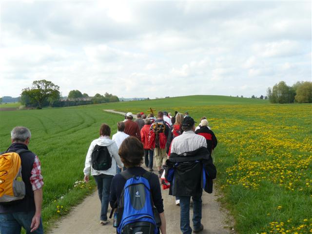 618x457 pixels (52K)